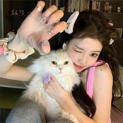 Again 第28年的甲子园